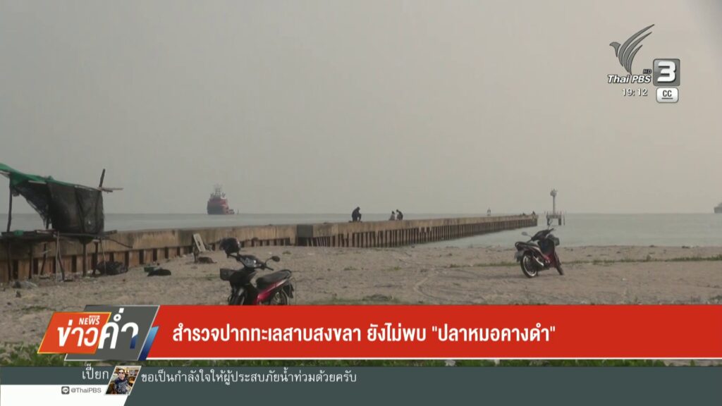 สำรวจปากทะเลสาบสงขลา-ยังไม่พบ-”-ปลากหมอคางดำ”-ข่าวใต้แลได้ท