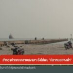 สำรวจปากทะเลสาบสงขลา-ยังไม่พบ-”-ปลากหมอคางดำ”-ข่าวใต้แลได้ท