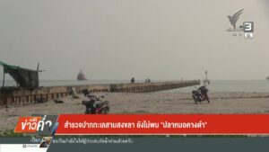 สำรวจปากทะเลสาบสงขลา-ยังไม่พบ-”-ปลากหมอคางดำ”-ข่าวใต้แลได้ท