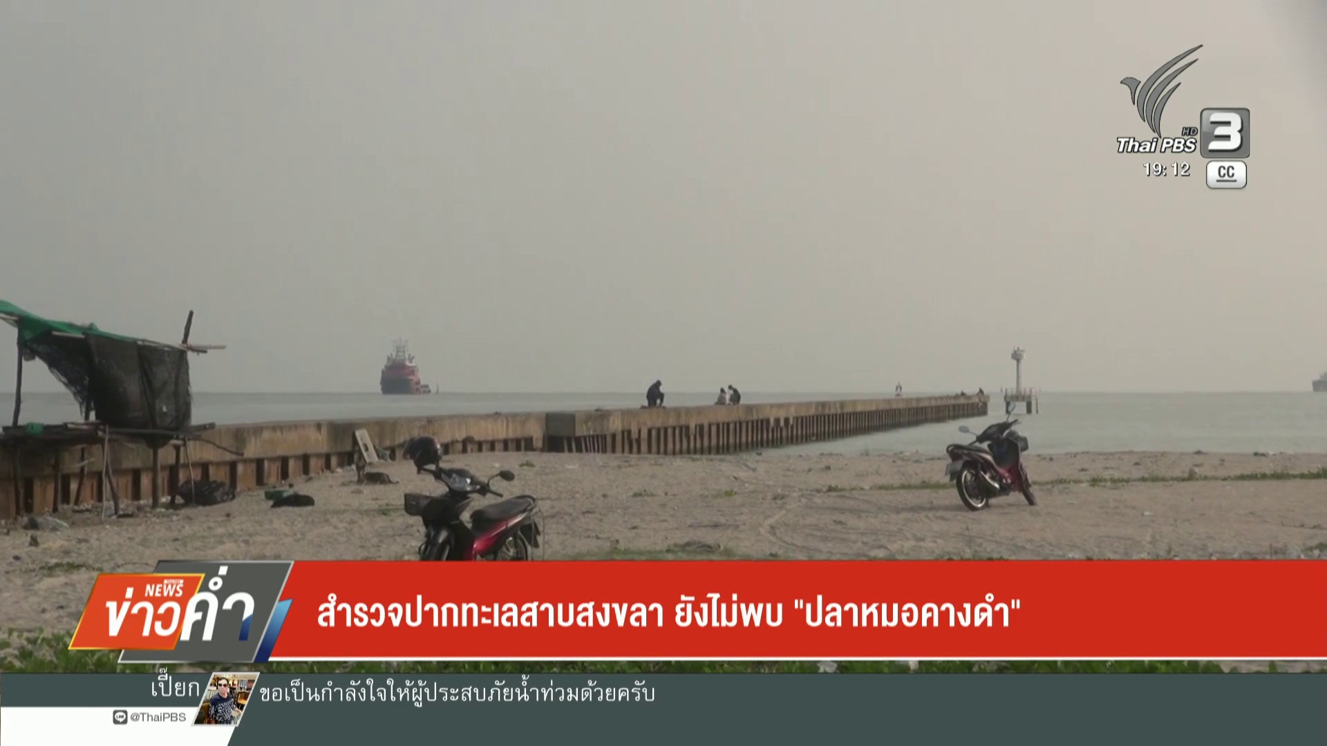 สำรวจปากทะเลสาบสงขลา-ยังไม่พบ-”-ปลากหมอคางดำ”-ข่าวใต้แลได้ท