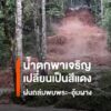 ฝนถล่มพบพระ-อุ้มผาง-น้ำท่วมถนน-น้ำตกพาเจริญเปลี่ยนเป็นสีแดง