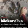 ใช่มั้ย?