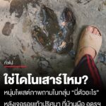 ใช่มั้ย?