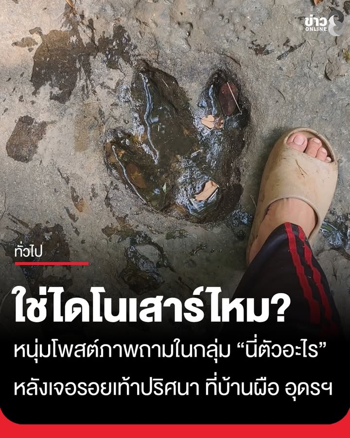 ใช่มั้ย?
