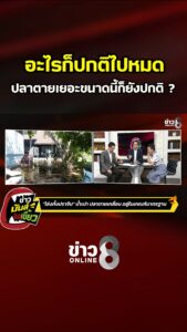 อะไรก็ปกติไปหมด-ปลาเสียชีวิตเยอะขนาดนี้ก็ยังปกติ-|-ข่าวมันส์เขี้ยว