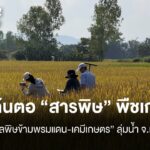 หาต้นตอ-“สารพิษ”-พืชเกษตร-แยก-“มลพิษข้ามพรมแดน-เคมีเกษตร”-ลุ