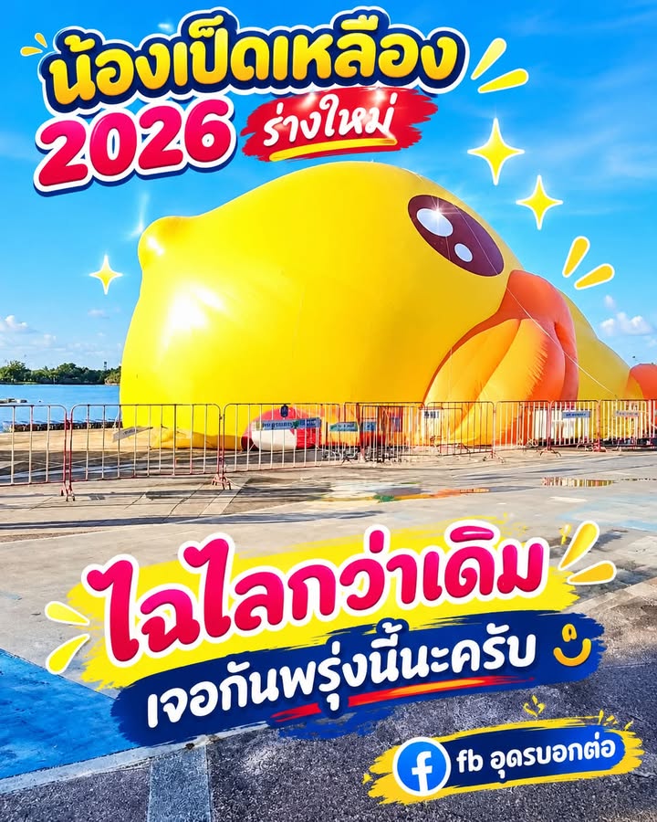 -หนองประจักษ์-อุดรธานี-น้องเป็ดเหลืองเนเวอร์ดาย-กลับมาร่าง