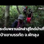 ยกระดับพรานนักล่าสู่ไกด์นำเที่ยวผืนป่าเขาบรรทัด จ.พัทลุง 21 ต.ค. 69