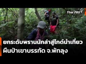ยกระดับพรานนักล่าสู่ไกด์นำเที่ยวผืนป่าเขาบรรทัด จ.พัทลุง 21 ต.ค. 69