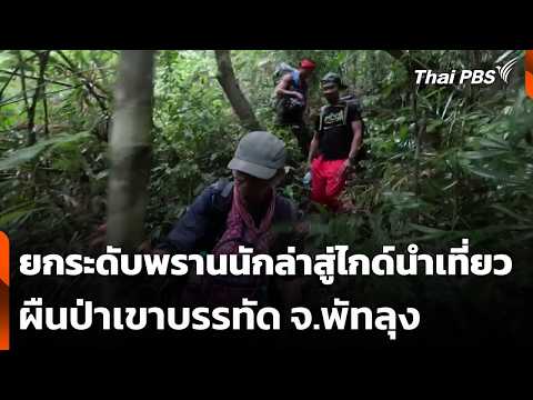 ยกระดับพรานนักล่าสู่ไกด์นำเที่ยวผืนป่าเขาบรรทัด จ.พัทลุง  21 ต.ค. 69