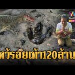 ด่วน ชาวบ้านแห่กราบไหว้รอยเท้าไดโนเสาร์กินเนื้อ อายุ 120 ล้านปี | ข่าวอรุณอมรินทร์ 22/10/69