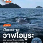 อุทยานแห่งชาติหมู่เกาะสุรินทร์-และอุทยานแห่งชาติหมู่เกาะสิมิ