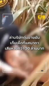 ตำรวจสอบสวนกลาง-ล่า-บริษัทตุ๋นขายฝันเก็บเห็ดที่แคนาดา