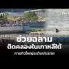 ช่วยฉลามติดคลองในเกาหลีใต้ ภารกิจใหญ่ระดับประเทศ | ทันโลก กับ Thai PBS