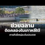 ช่วยฉลามติดคลองในเกาหลีใต้ ภารกิจใหญ่ระดับประเทศ | ทันโลก กับ Thai PBS