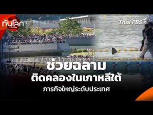 ช่วยฉลามติดคลองในเกาหลีใต้ ภารกิจใหญ่ระดับประเทศ | ทันโลก กับ Thai PBS