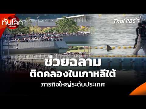 ช่วยฉลามติดคลองในเกาหลีใต้ ภารกิจใหญ่ระดับประเทศ | ทันโลก กับ Thai PBS