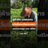 ผู้ค้าผัก-เกษตรกรกังวลขึ้นทะเบียนกะเพรา กระทบการปลูก-ขาย-บริโภค   