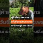 ผู้ค้าผัก-เกษตรกรกังวลขึ้นทะเบียนกะเพรา กระทบการปลูก-ขาย-บริโภค   