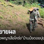 ชาวบ้านดอยปุยร้องผู้ว่าฯ-ตรวจสอบตัดไม้-15-ต้น-ห่วงกระทบต้นไม