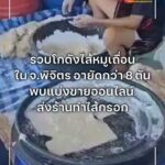 ตรวจค้นโกดังไส้หมูเถื่อน-แหล่งรับซื้อในพิจิตร-อายัดกว่า-8-ตั