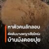 เร่งตามหาตัวคนลักลอบตัดต้นนางพญาเสือโคร่งบ้านม้งดอยปุย-กรมอุ