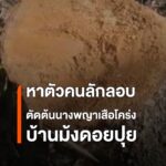เร่งตามหาตัวคนลักลอบตัดต้นนางพญาเสือโคร่งบ้านม้งดอยปุย-กรมอุ