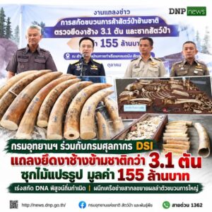 ðððð-:-กรมอุทยานแห่งชาติ-ร่วมกับกรมศุลกากร-dsi-แถลงยึดงาช้างข้ามชาต