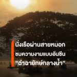 เที่ยวเชียงใหม่-นั่งเรือชมทะเลหมอกยามเช้า-กับอันซีน-ฉำฉายัก