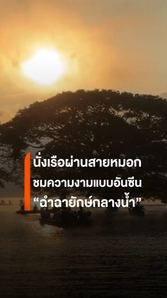 เที่ยวเชียงใหม่-นั่งเรือชมทะเลหมอกยามเช้า-กับอันซีน-ฉำฉายัก