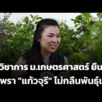 นักวิชาการ ม.เกษตรศาสตร์ ยืนยันกะเพรา “แก้วจุรี” ไม่กลืนพันธุ์เดิม | 27 ต.ค. 69