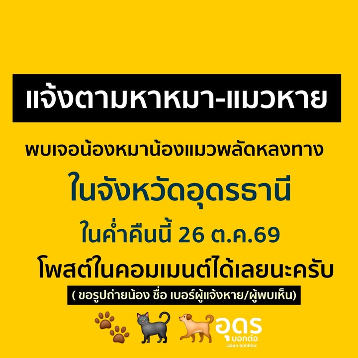 -ร่วมด้วยช่วยกัน-ตอนนี้-ในเมืองอุดรธานี-มีหมา-แมวพลัดหลง-วิ