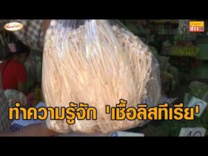‘เชื้อลิสทีเรีย’ คืออะไร หลังคนผวา สุ่มตรวจพบปนเปื้อน ‘เห็ดเข็มทองจีน’ หมอแนะวิธีกินให้ปลอดภัย อัพเดทข่าว