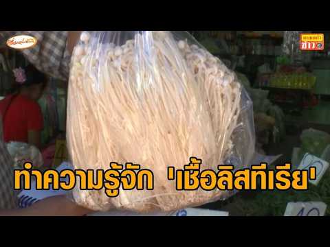 ‘เชื้อลิสทีเรีย’ คืออะไร หลังคนผวา สุ่มตรวจพบปนเปื้อน ‘เห็ดเข็มทองจีน’ หมอแนะวิธีกินให้ปลอดภัย อัพเดทข่าว