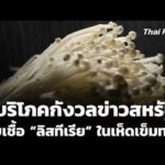 ผู้บริโภคกังวลข่าวสหรัฐพบเชื้อ ลิสทีเรีย ในเห็ดเข็มทอง | ข่าวค่ำ 28 ต.ค. 69