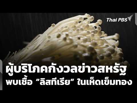 ผู้บริโภคกังวลข่าวสหรัฐพบเชื้อ ลิสทีเรีย ในเห็ดเข็มทอง | ข่าวค่ำ 28 ต.ค. 69