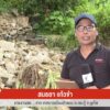 สด…จากเทศบาลเมืองป่าตอง-อกระทู้-จจังหวัดภูเก็ตเจ้าหน้าที่เร่งตรวจสอบ-เ