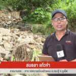สด…จากเทศบาลเมืองป่าตอง-อกระทู้-จจังหวัดภูเก็ตเจ้าหน้าที่เร่งตรวจสอบ-เ