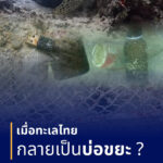 -เมื่อทะเลไทย-กำลังเป็นบ่อขยะ-ภัยเงียบสัตว์ทะเลหายากถูกคร่า
