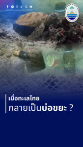 -เมื่อทะเลไทย-กำลังเป็นบ่อขยะ-ภัยเงียบสัตว์ทะเลหายากถูกคร่า