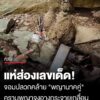 ส่องเลขเด็ด