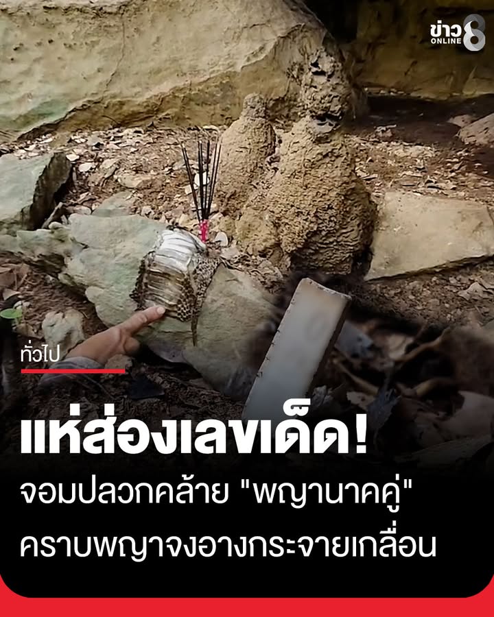 ส่องเลขเด็ด