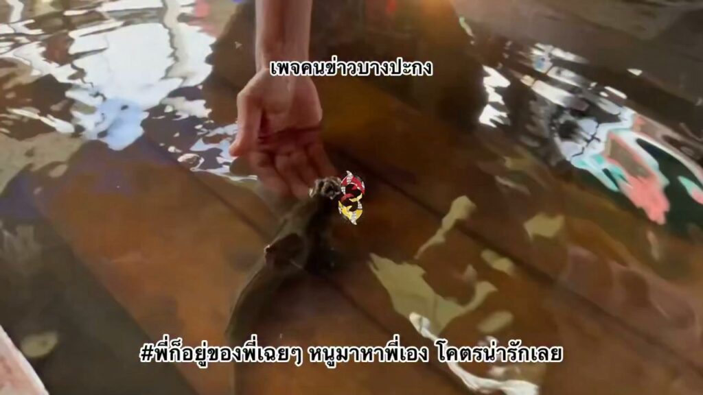 พี่ก็อยู่ของพี่เฉยๆ-หนูมาหาพี่เอง-โคตรน่ารักเลย-(feed-gener-|-2026-10-29-02:38:00