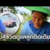 แม่สู้ชีวิตดูแลลูกติดเตียง 24 ปี | วันช่วยได้ |  ข่าวเย็นช่องวัน | สำนักข่าววันนิวส์