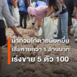 น้ำท่วมฉับพลันฟาร์มไก่กำแพงเพชร-ไก่เสียชีวิตนับหมื่นตัว-เสียหายกว่