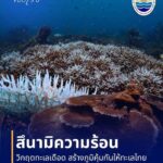️||-เรื่องเล่าขอบเรือ-||-️-เปิดมุมมองเบื้องหลังภารกิจของคน