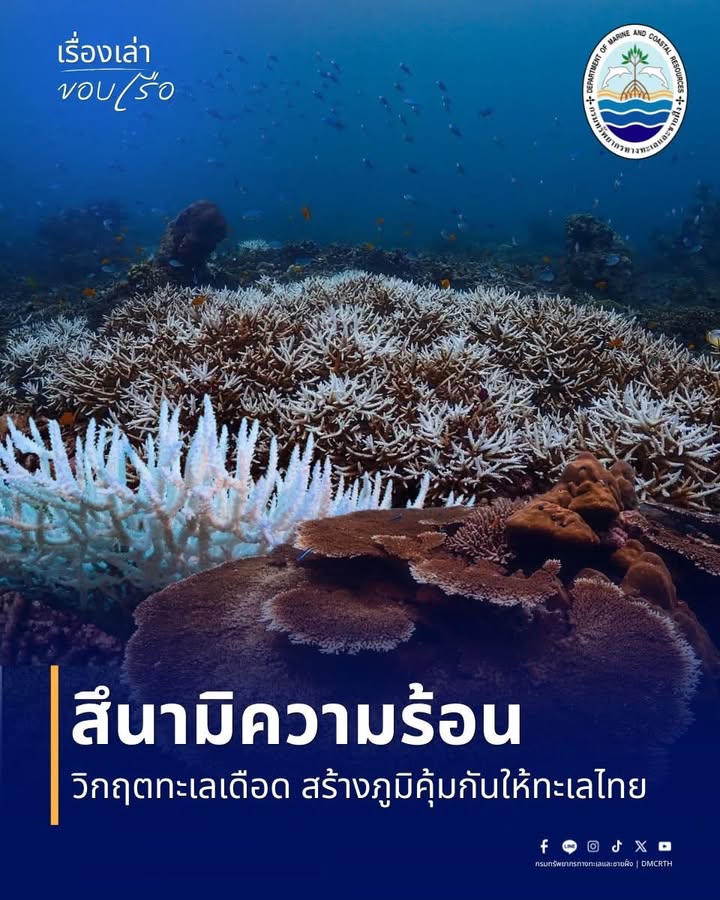 ️||-เรื่องเล่าขอบเรือ-||-️-เปิดมุมมองเบื้องหลังภารกิจของคน