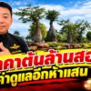 ห๊ะ-ต้นละ-1.2-ล้าน-ค่าดูแลอีก-500,000-บาท-ใกล้แล้วสำหรับม