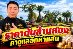 ห๊ะ-ต้นละ-1.2-ล้าน-ค่าดูแลอีก-500,000-บาท-ใกล้แล้วสำหรับม