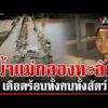 ด่วน น้ำแม่กลองทะลักล้น กาญจน์-ราชบุรีจมบาดาล  | 01/10/69